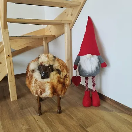 U Uli Dağ evi Wisła